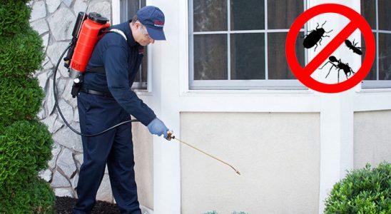 Kars Böcek İlaçlama böcek ilaçlama ve haşere kontrolü — ilaclama-tr.com